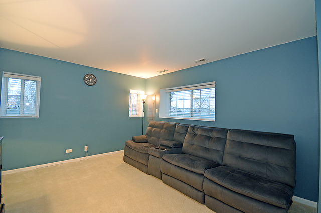 14603 Patriot Square East Dr, Plainfield, IL 60544 photo 13