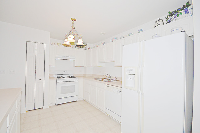 14603 Patriot Square East Dr, Plainfield, IL 60544 photo 5