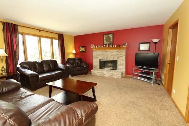 13249 Flagg Dr, Plainfield, IL 60585 photo 10