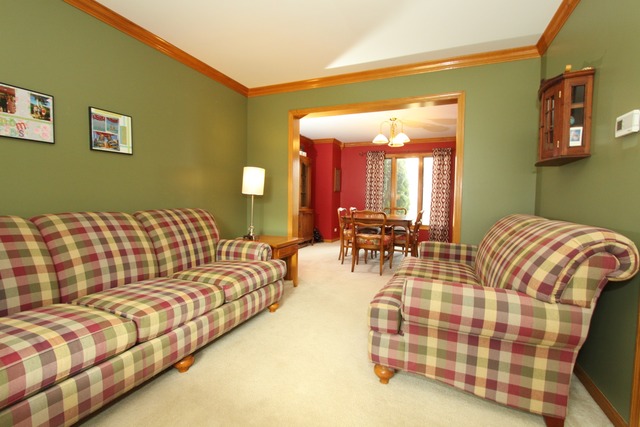 13249 Flagg Dr, Plainfield, IL 60585 photo 4
