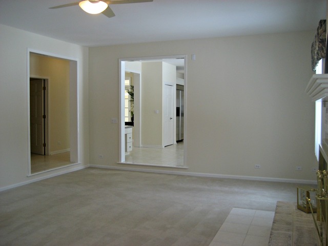 270 Amherst Mdw, Bartlett, IL 60103 photo 13