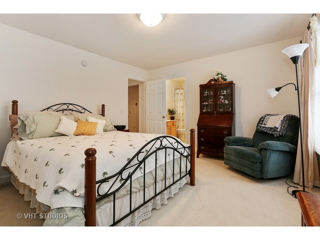 11636 Cinema Dr, Plainfield, IL 60585 photo 10