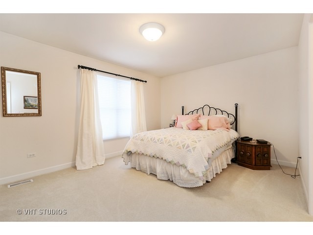 11636 Cinema Dr, Plainfield, IL 60585 photo 9