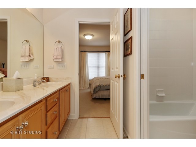 11636 Cinema Dr, Plainfield, IL 60585 photo 11