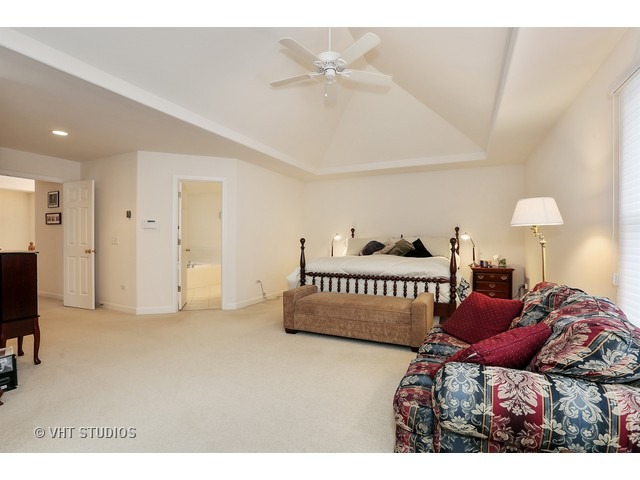11636 Cinema Dr, Plainfield, IL 60585 photo 6