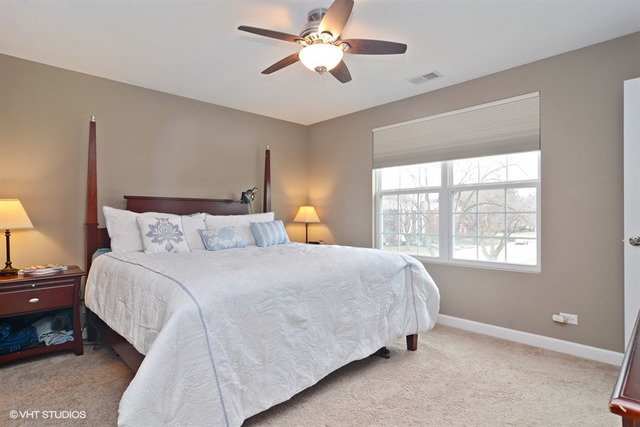 909 E Hamlin Ln, Arlington Heights, IL 60004 photo 9