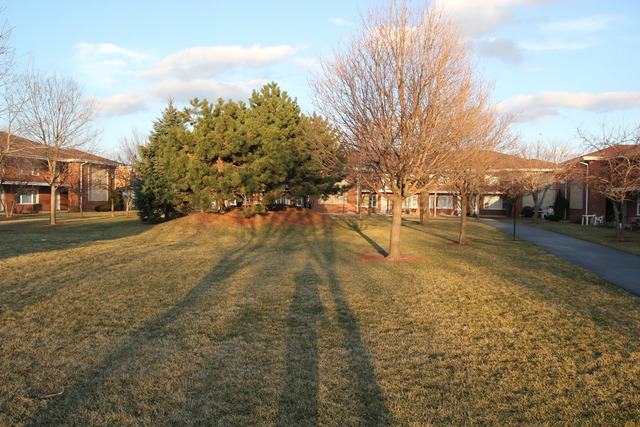 101 Dover Dr #9, Des Plaines, IL 60018 photo 6