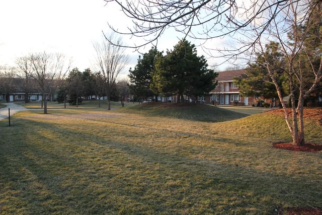 101 Dover Dr #9, Des Plaines, IL 60018 photo 7