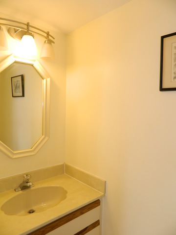 4330 Lombardy Ln, Hoffman Estates, IL 60192 photo 13