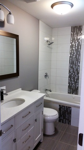 3925 W 65th St, Chicago, IL 60629 photo 8