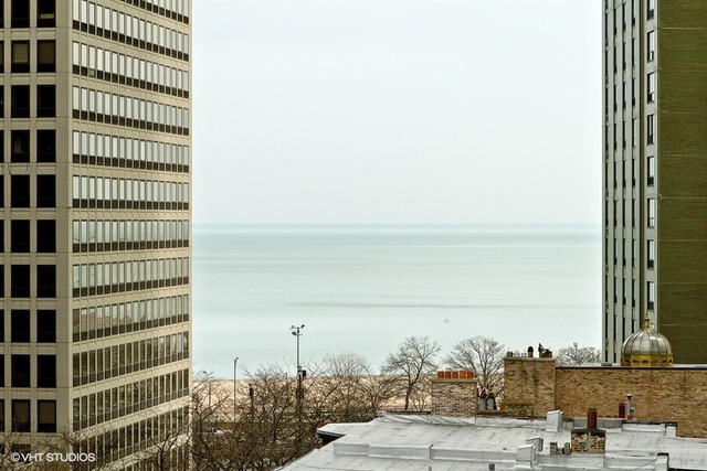 33 E Cedar St #9A, Chicago, IL 60611 photo 2