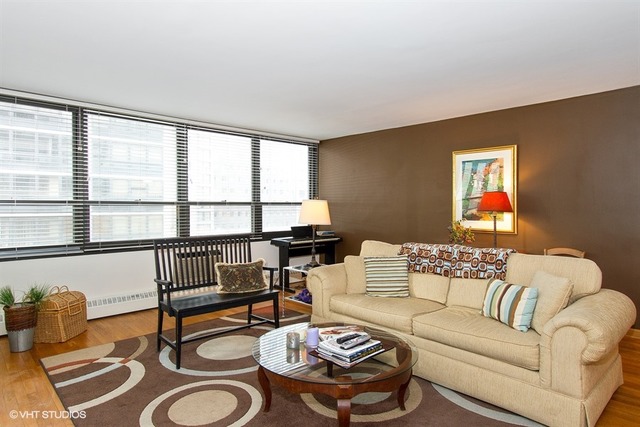33 E Cedar St #9A, Chicago, IL 60611 photo 5