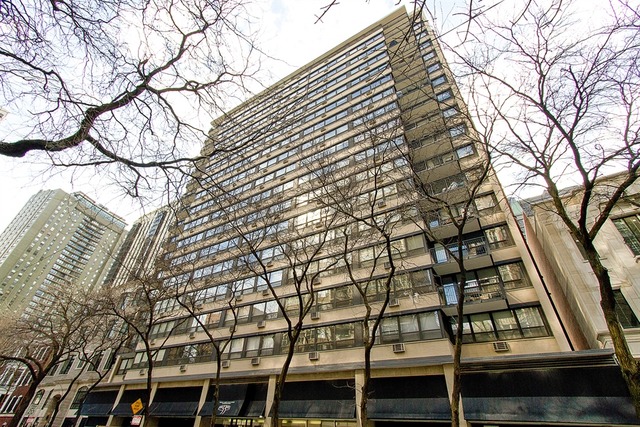 33 E Cedar St #9A, Chicago, IL 60611 photo 1