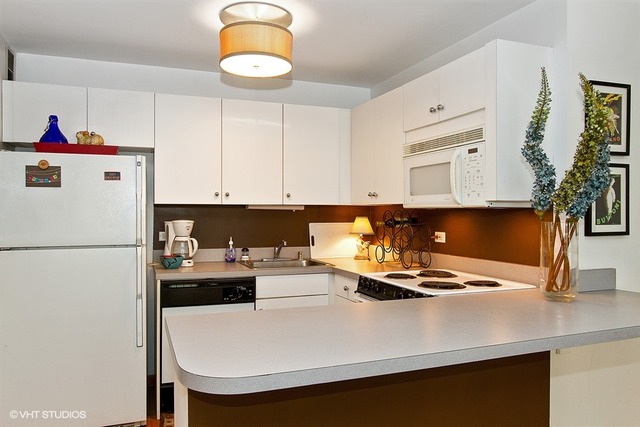 33 E Cedar St #9A, Chicago, IL 60611 photo 7