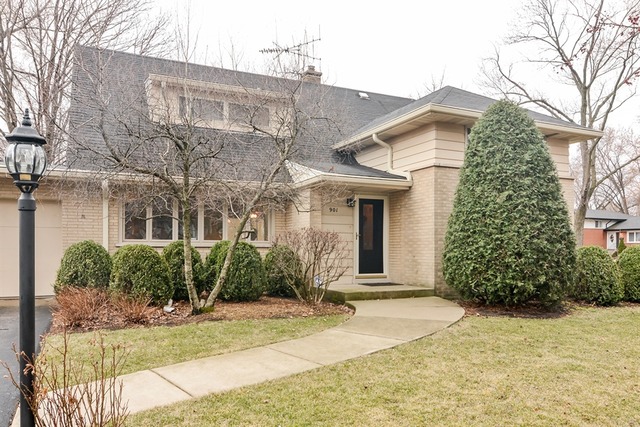 901 E Council Trl, Mount Prospect, IL 60056 photo 25