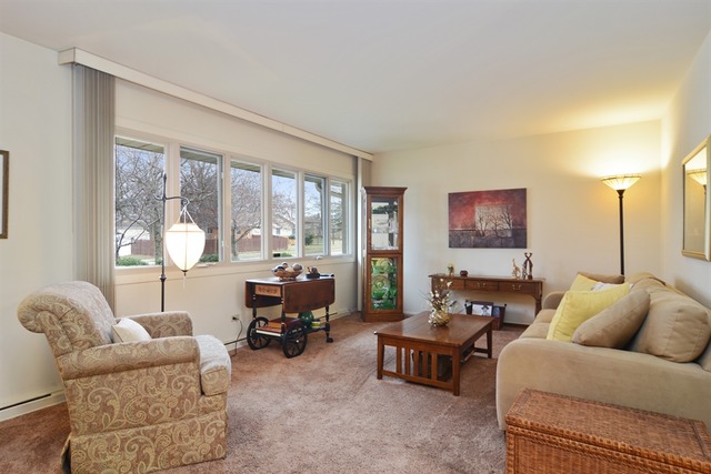 901 E Council Trl, Mount Prospect, IL 60056 photo 3