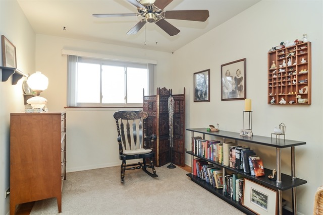901 E Council Trl, Mount Prospect, IL 60056 photo 17