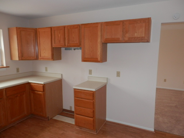 306 N Pine St, Gardner, IL 60424 photo 5