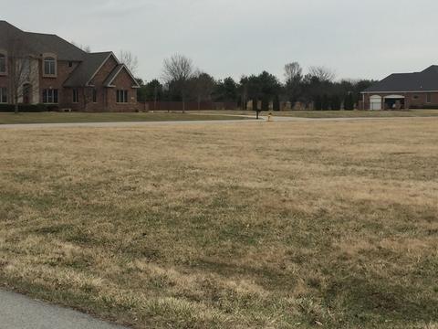 1184 Coyote Run, Bourbonnais, IL 60914 photo 3
