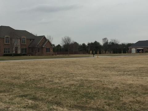 1184 Coyote Run, Bourbonnais, IL 60914 photo 2