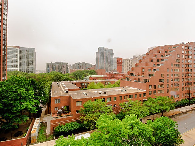 1 E 8th St #403, Chicago, IL 60605 photo 15