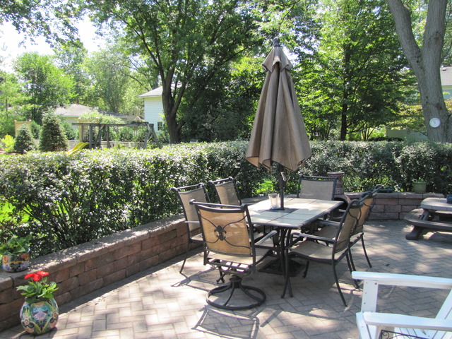 471 Carrol Gate Rd, Wheaton, IL 60189 photo 22