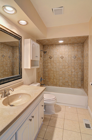 1407 E Lowden Ave, Wheaton, IL 60189 photo 11