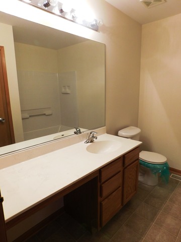 25331 Faraday Rd, Manhattan, IL 60442 photo 20