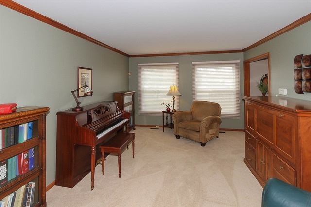 228 Aron Ct, Bartlett, IL 60103 photo 20