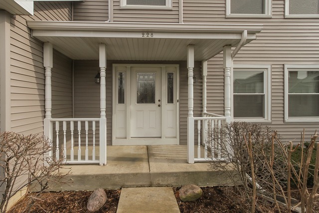 228 Aron Ct, Bartlett, IL 60103 photo 25