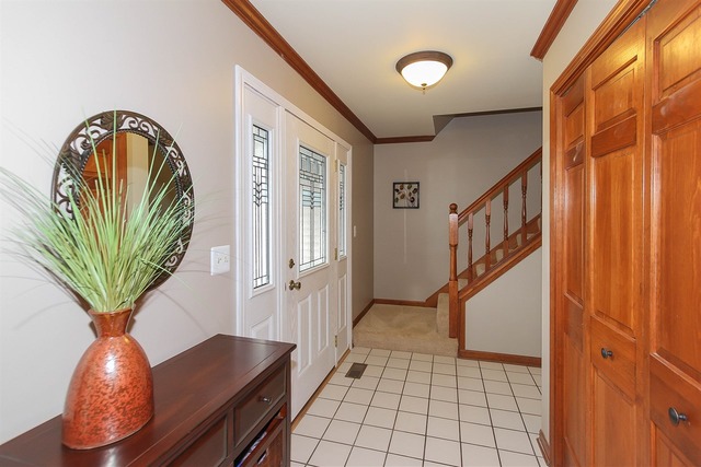 228 Aron Ct, Bartlett, IL 60103 photo 9