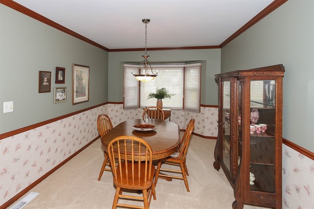 228 Aron Ct, Bartlett, IL 60103 photo 21