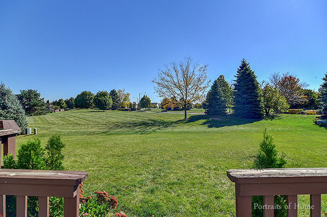 1806 Arbor Gate Dr, Plainfield, IL 60586 photo 23