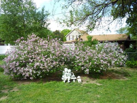 2621 E 499th Rd, Oglesby, IL 61348 photo 8