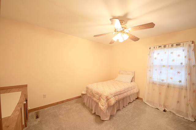 514 Center St, Mazon, IL 60444 photo 11