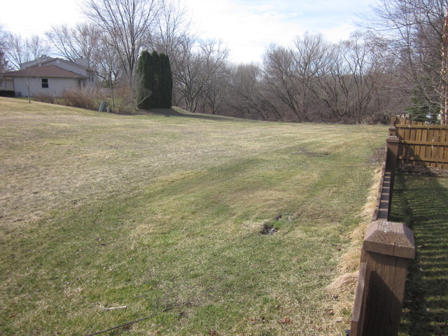 4212 Forest Glen Dr, Hoffman Estates, IL 60192 photo 7