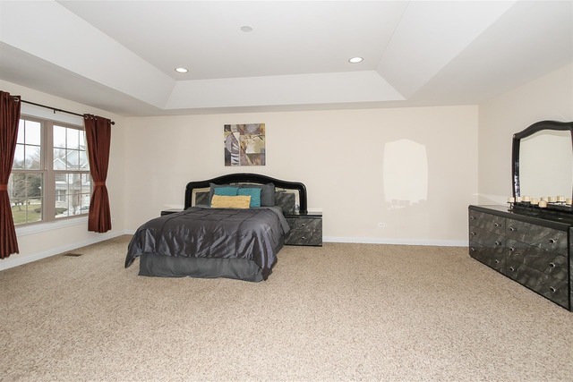 1399 Jason Ct, Bartlett, IL 60103 photo 17
