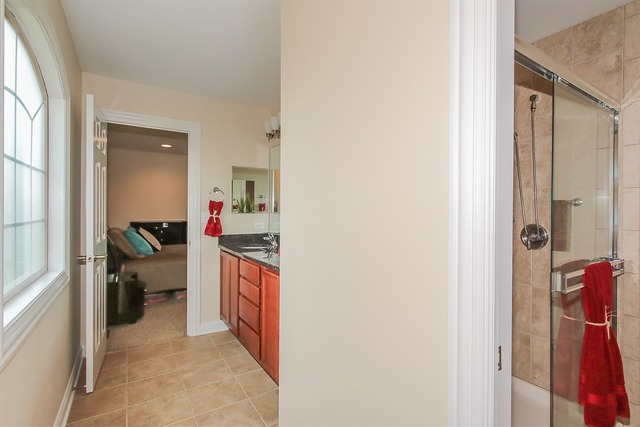 1399 Jason Ct, Bartlett, IL 60103 photo 21