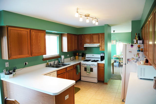 26240 S Locust Pl, Monee, IL 60449 photo 7
