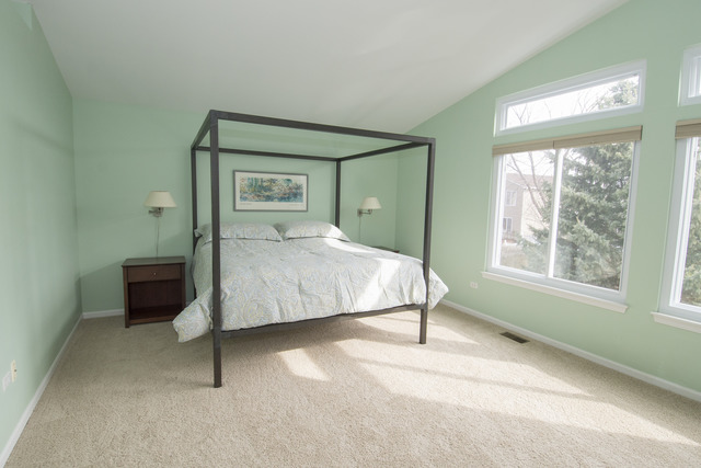 170 Willow Bnd, Bolingbrook, IL 60490 photo 12