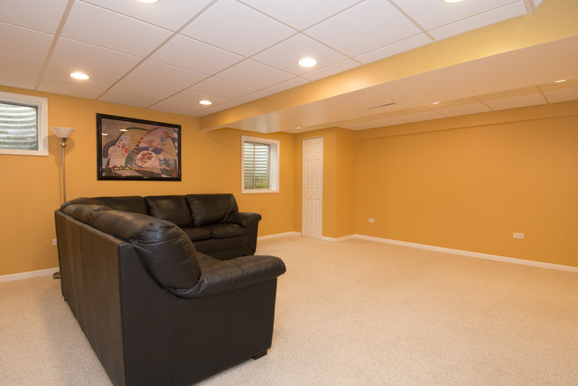 170 Willow Bnd, Bolingbrook, IL 60490 photo 17