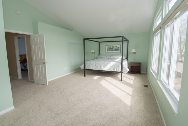 170 Willow Bnd, Bolingbrook, IL 60490 photo 11