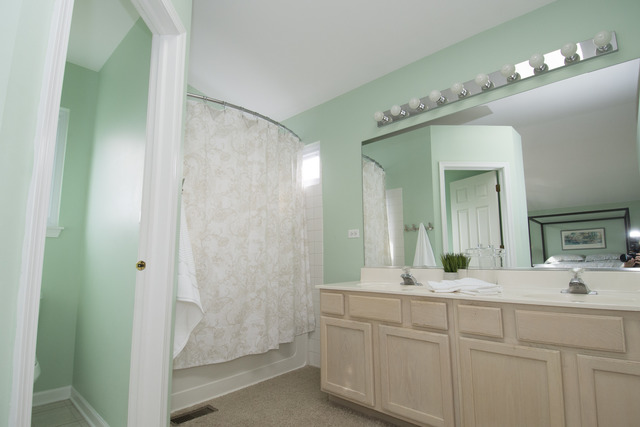 170 Willow Bnd, Bolingbrook, IL 60490 photo 13