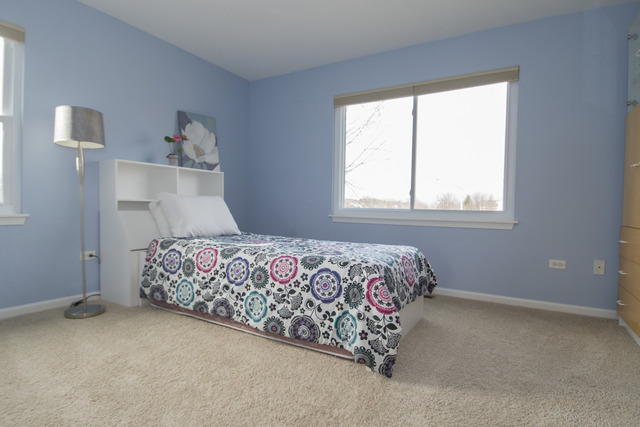 170 Willow Bnd, Bolingbrook, IL 60490 photo 15