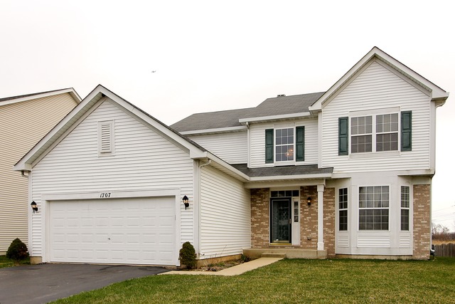 1707 Ariana Dr, Bartlett, IL 60103 photo 1