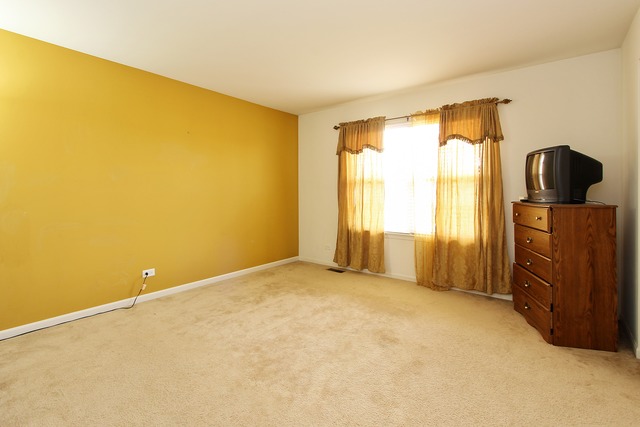 1707 Ariana Dr, Bartlett, IL 60103 photo 10
