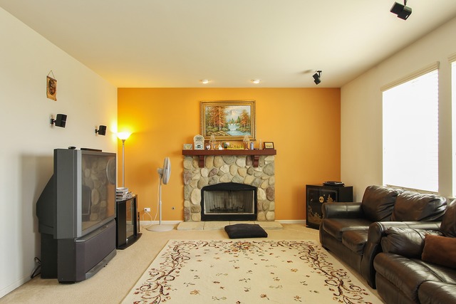 1707 Ariana Dr, Bartlett, IL 60103 photo 7