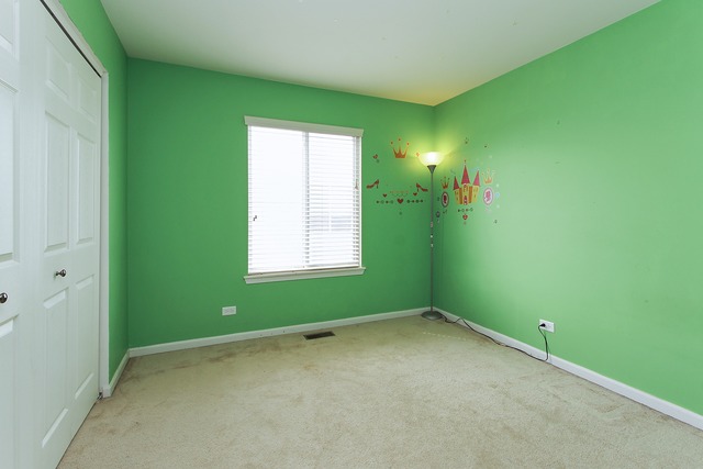 1707 Ariana Dr, Bartlett, IL 60103 photo 13