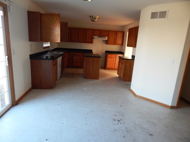 25833 S Geranium Ln, Monee, IL 60449 photo 7