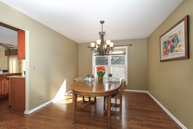 1349 Hunter Dr, Bartlett, IL 60103 photo 5